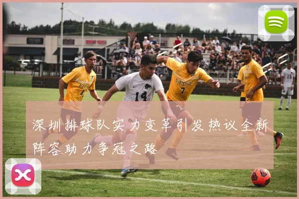 深圳排球队实力变革引发热议全新阵容助力争冠之路